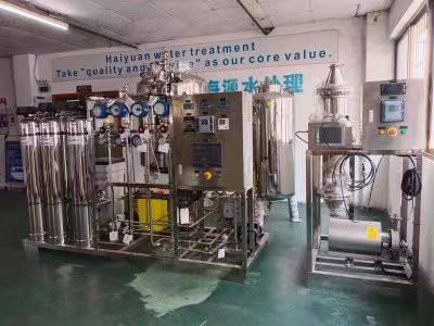 PW su için 500LPH tek geçişli RO ve EDI sistemi