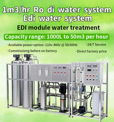 Su Arıtma Arıtma Sistemi 1TPH için Demineralize EDI Ünitesi