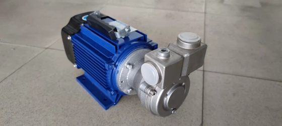 220V / 380V SS304 Ozon Sıvı Karıştırma Pompası 2900r/dak