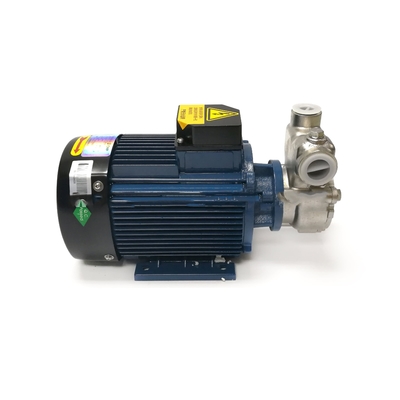 220V / 380V SS304 Ozon Sıvı Karıştırma Pompası 2900r/dak